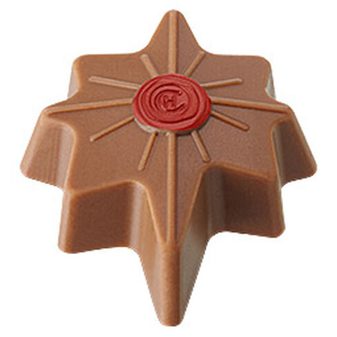 0712025479-SALTED-CARAMEL-STAR_W_S_FLAT