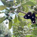 5ebbc94344ec8cb2d5fd