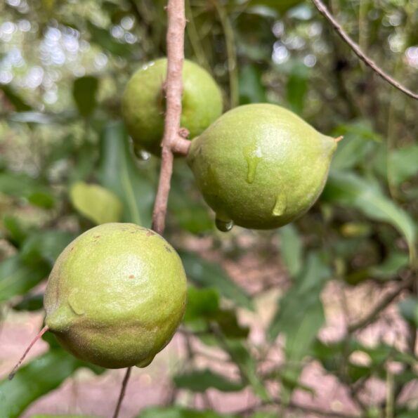 251551529_125292566551540_8985820143942576814_n